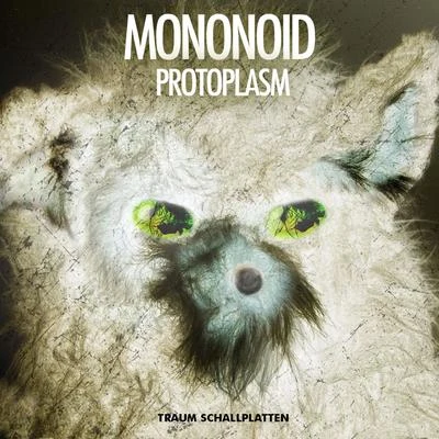 Mononoid Protoplasm