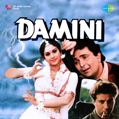 Kumar Sanu/Alka Yagnik Damini