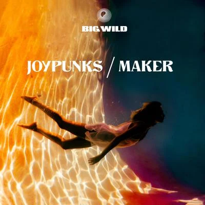 Big Wild JoypunksMaker