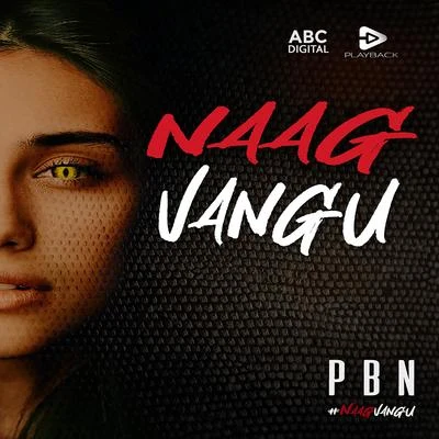 PBN Naag Vangu