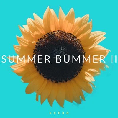 Guero Summer Bummer II