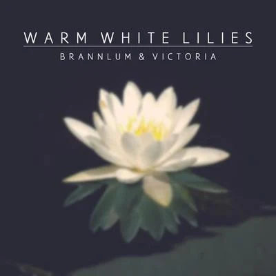 Victoria/Brannlum Warm White Lilies