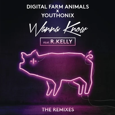 R. Kelly/Digital Farm Animals Wanna Know (Remixes)