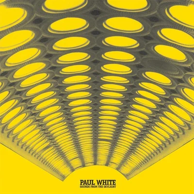 Paul White Sounds From The Skylight