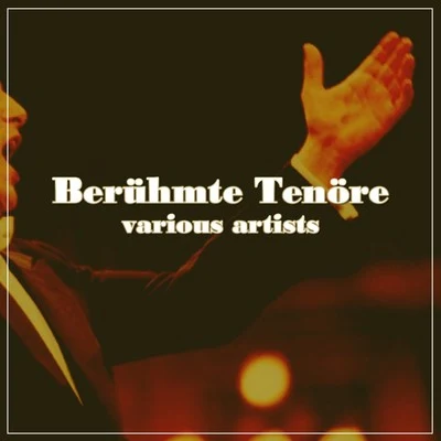 Various Artists/Sir John Barbirolli/Radio symphony orchestra Beruhmte Tenore