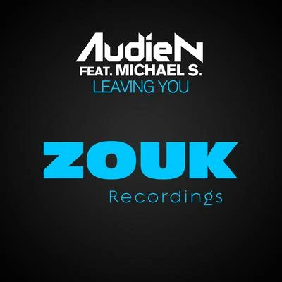 Audien Leaving You