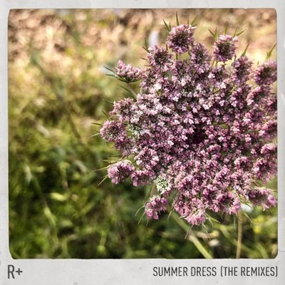 R Plus Summer Dress (Remixes)