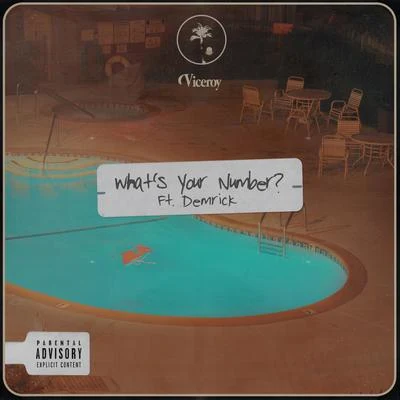 Demrick/Viceroy What's Your Number?