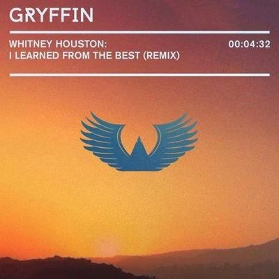 Gryffin I Learned From The Best (Gryffin Remix)