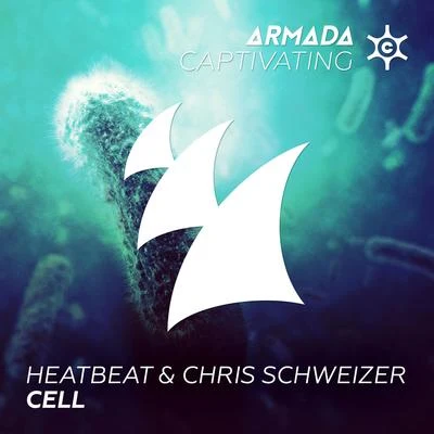 Heatbeat/Chris Schweizer Cell