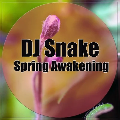 DJ Snake Spring Awakening