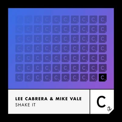 Mike Vale/Lee Cabrera Shake It