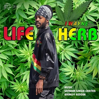 I Wayne/Satnam Singh Chatha/Bhingy Riddim Life Herb (feat. Satnam Singh Chatha & Bhingy Riddim)