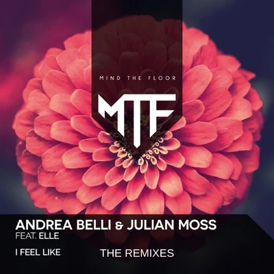 Andrea Belli/Julian Moss I Feel Like