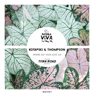 Thompson/Kotapski Where Did Your Love Go