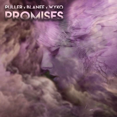 Puller/Wyko/Blanee Promises