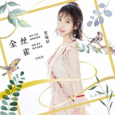 賀敬軒 (CoCo) 金絲雀