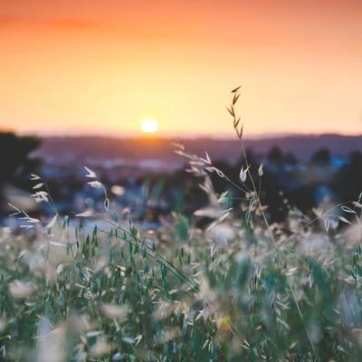 Musica Relajante/Ambiente/Música para Niños Meditación Tranquila Relajación Melodías