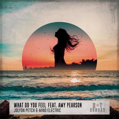 Mind Electric/Jolyon Petch What Do You Feel (feat. Amy Pearson)