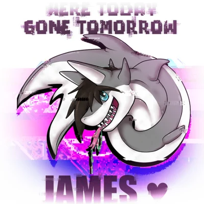 James Here Today Gone Tomorrow