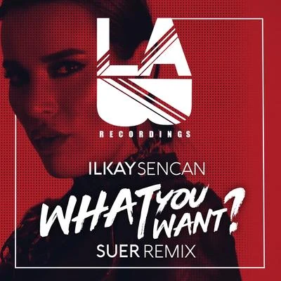 Ilkay Sencan/SUER What You Want (SUER Remix)