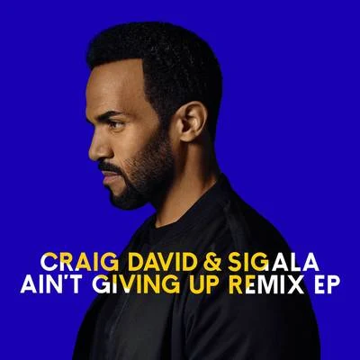 Sigala/Craig David Aint Giving Up (Remixes)