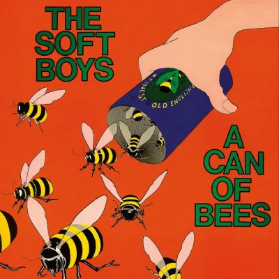 The Soft Boys A Can Of Bees