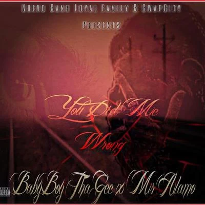 Baby Boy Tha Gee/Mr Alamo You Did Me Wrong (feat. Mr Alamo)