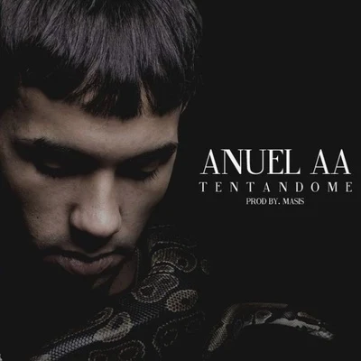 Anuel AA Tentandome