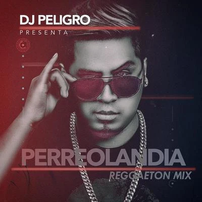 Dj Peligro Perreolandia, Vol 1 (Reggaeton Mix)