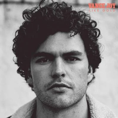 Vance Joy Like Gold