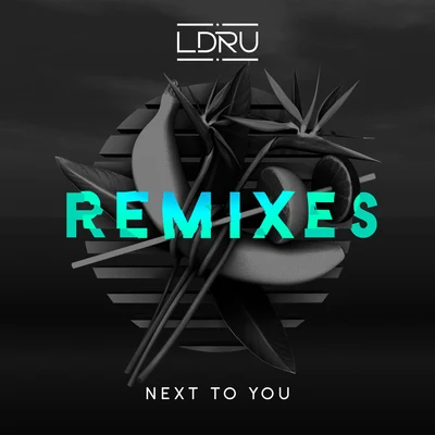 L D R U Next To You (Remixes)