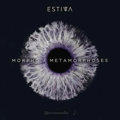 Estiva MorphoMetamorphoses