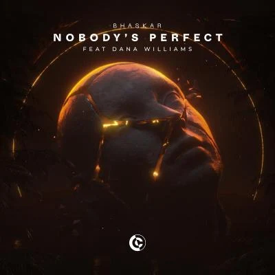 Bhaskar/Dana Williams nobody是perfect (feat. Dana Williams)