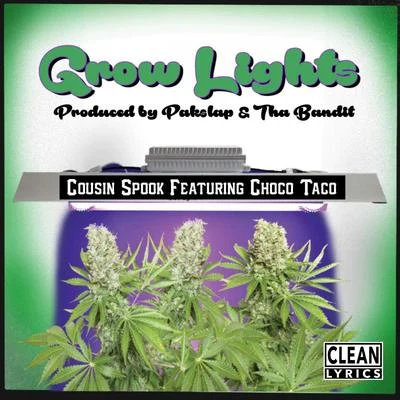 Cousin Spook Grow Lights (feat. Choco Taco)