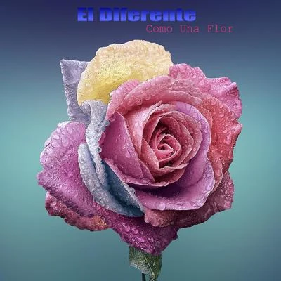 El Diferente Como Una Flor