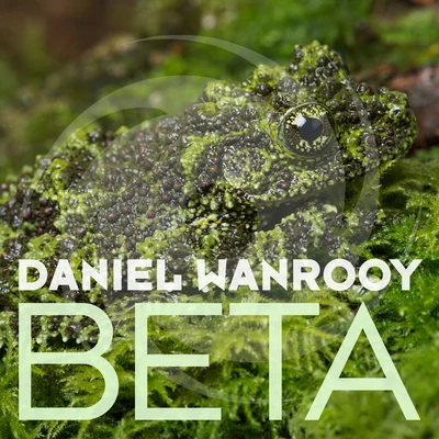 Daniel Wanrooy Beta