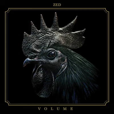 Zed Volume