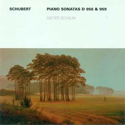 Dieter Zechlin Franz Schubert: Piano Sonatas Nos. 19 and 20 (Zechlin)