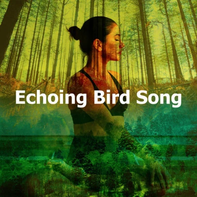 Meditation Relaxation Club/Soothing Nature Sounds/Nature Sounds Artists Echoing Bird Song