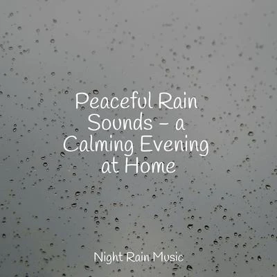 Rain Sounds/Rain Sound Studio/Deep Relaxation Meditation Academy Peaceful Rain Sounds - a Calming Evening at Home