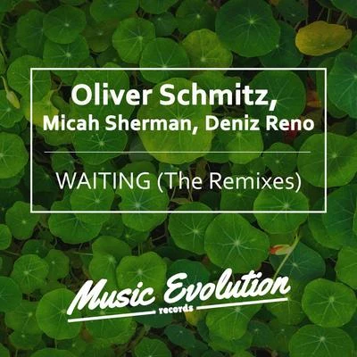 Oliver Schmitz Waiting (The Remixes)