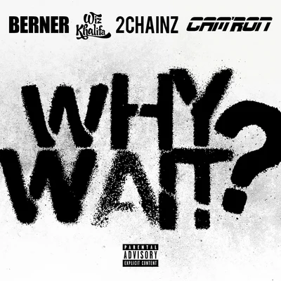 Berner/Cam&#x27;ron Why Wait? (feat. Wiz Khalifa & 2 Chainz) - Single