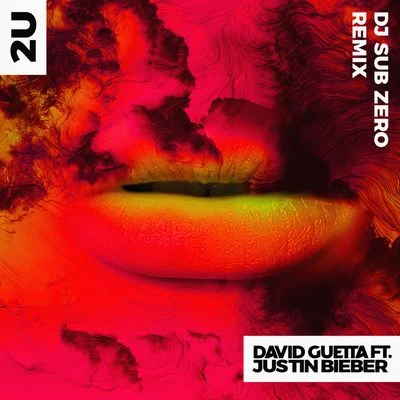 Justin Bieber/David Guetta/Sub Zero 2U (feat. Justin Bieber) [DJ Sub Zero Remix]