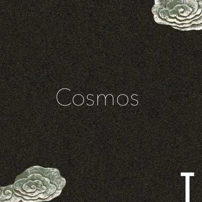 唐人踢 Cosmos