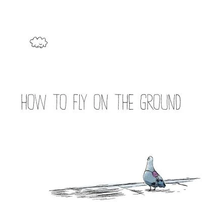 Emmit Fenn How To Fly On The Ground