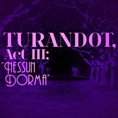 Dennis ONeill Turandot, Act Iii: Nessun Dorma - Single