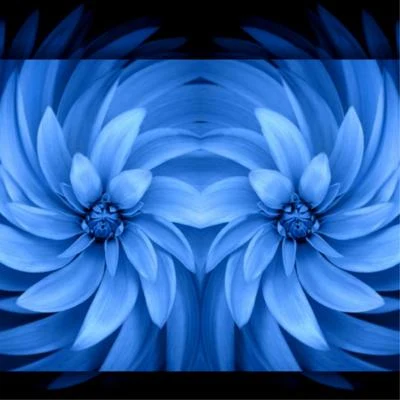 Justin Jet Zorbas Blue Flower (Original)