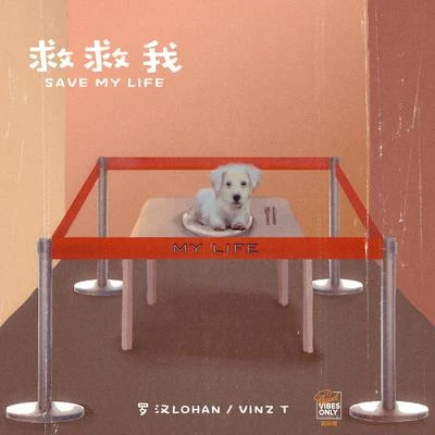 VINZ T/羅漢Lohan 救救我 (Save My Life)