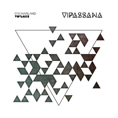 Eric Harland Vipassana